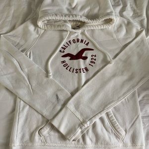 Hollister hoodies in good condition have different sizes Medium & large $9 each